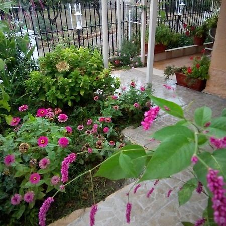 Villa Angela, Traditional Villa In The Village Agios Ioannis Peristerion Екстериор снимка