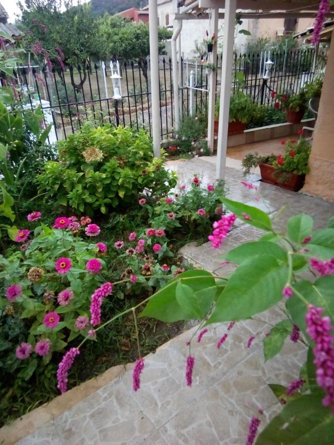 Villa Angela, Traditional Villa In The Village Agios Ioannis Peristerion Екстериор снимка